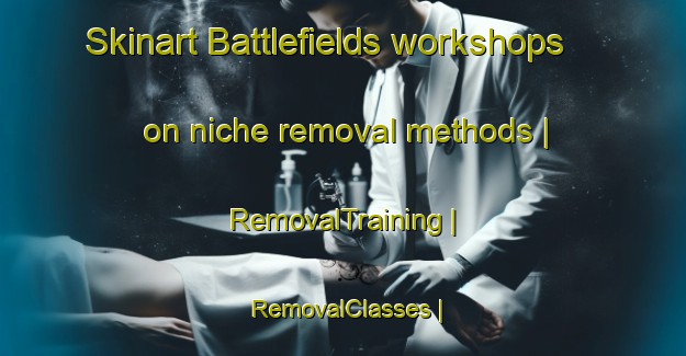 Skinart Battlefields workshops on niche removal methods | RemovalTraining | RemovalClasses | SkinartTraining-Zimbabwe